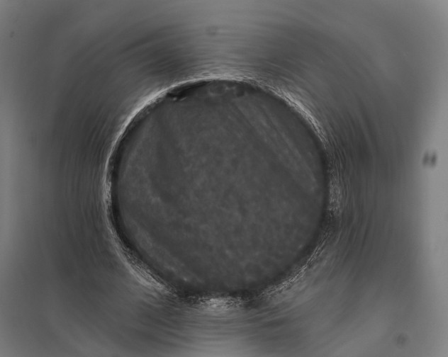 X0000097910584200803281405