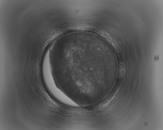 X0000097910585200803281405