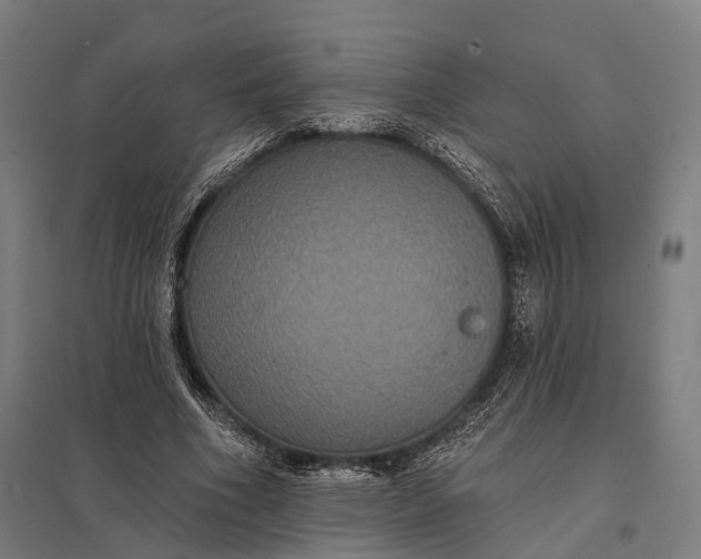 X0000097910586200803281405