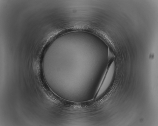 X0000097910588200803281405