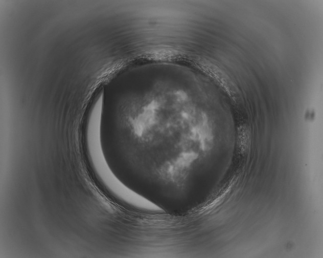 X0000097910589200803281405