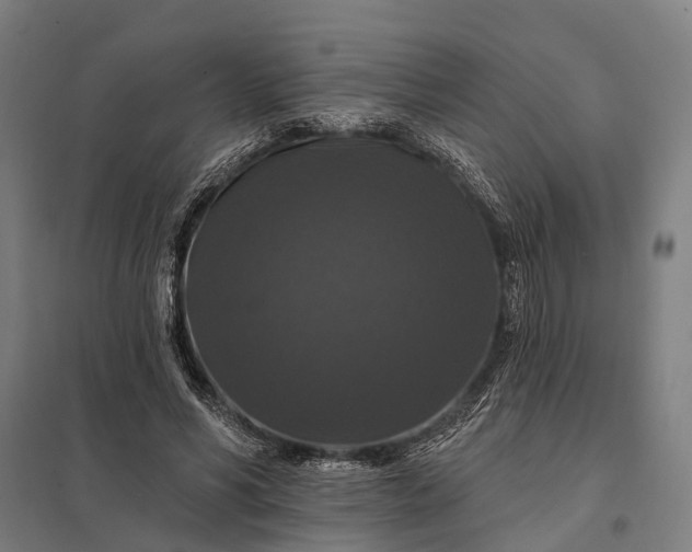 X0000097910590200803281405