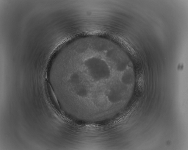 X0000097910591200803281405