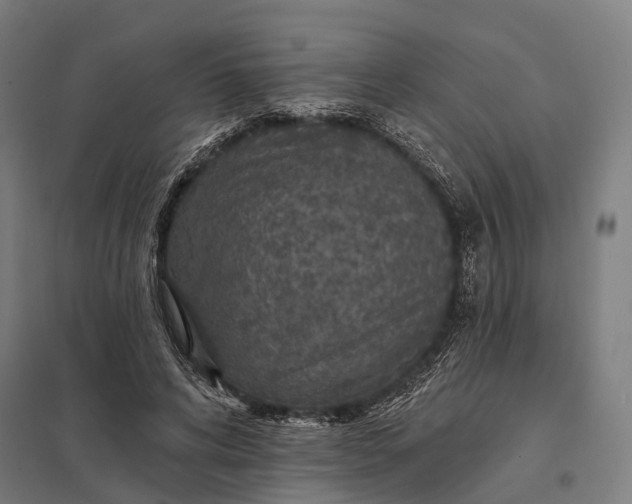 X0000097910592200803281404