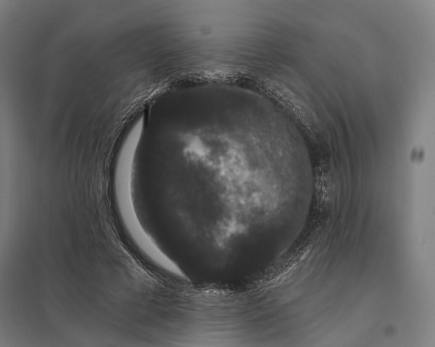 X0000097910593200803281404