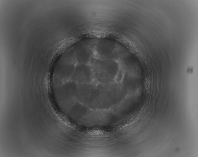 X0000097910594200803281404