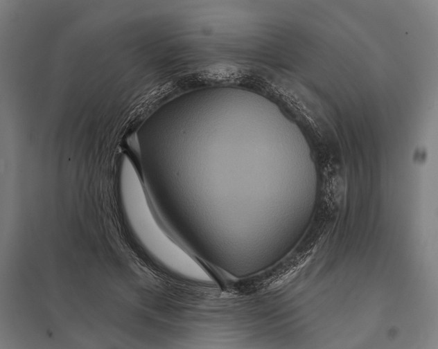 X0000097910597200803281404