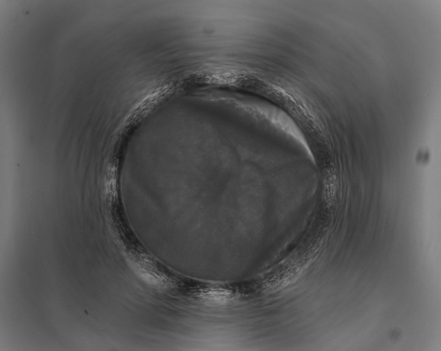 X0000097910598200803281404