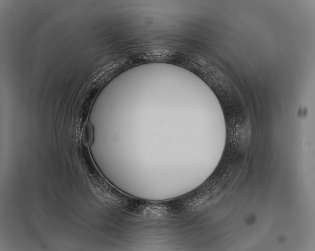 X0000097910599200803281404