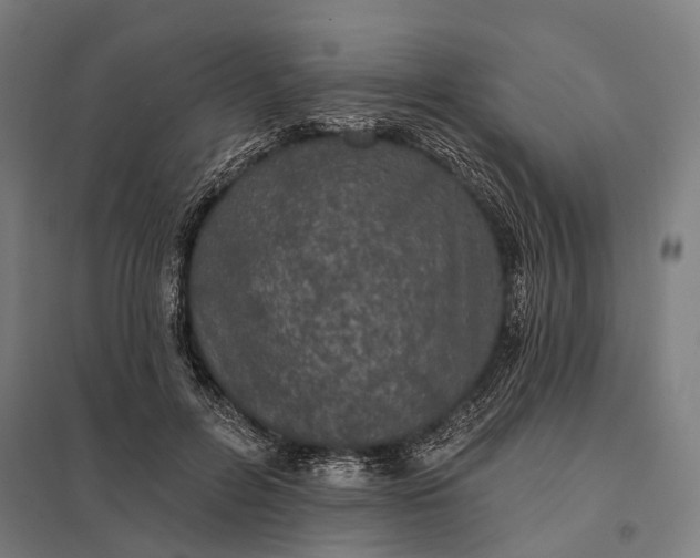 X0000097910600200803281404