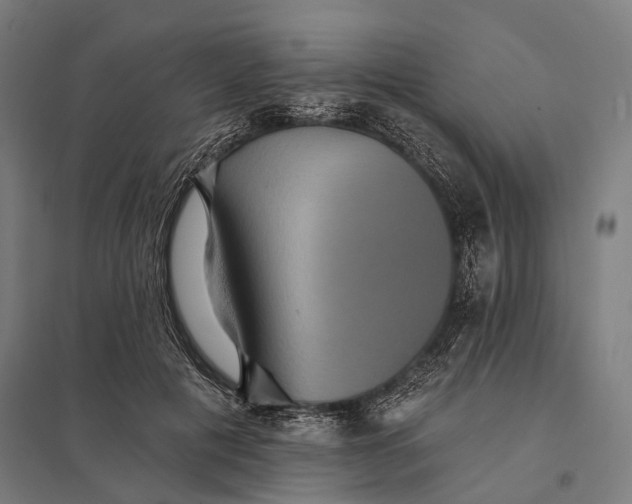 X0000097910601200803281404