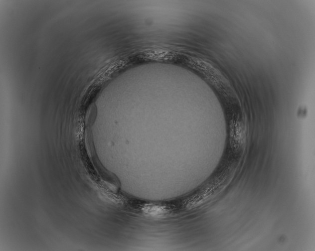 X0000097910602200803281404