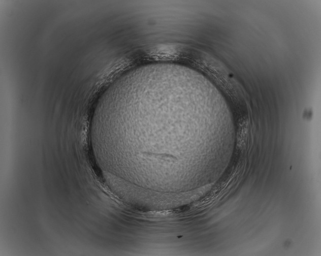 X0000097910604200803281404