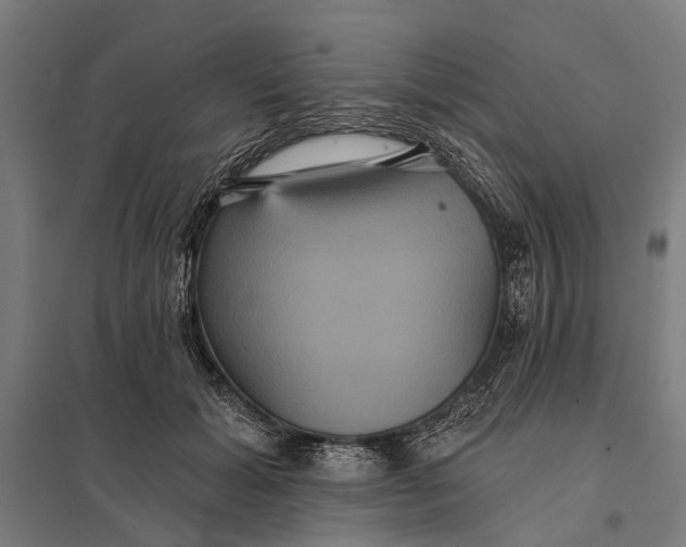 X0000097910605200803281404