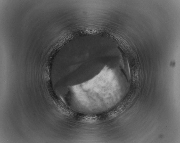 X0000097910606200803281404