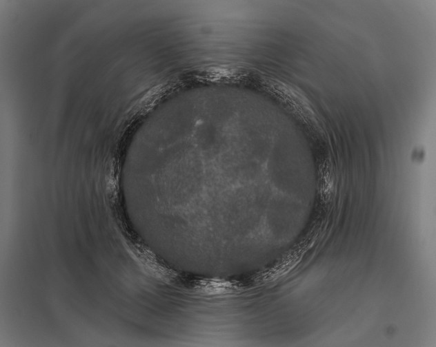 X0000097910607200803281404