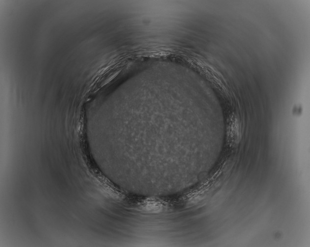 X0000097910608200803281404