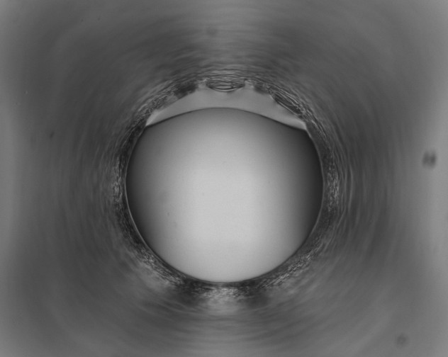 X0000097910609200803281404