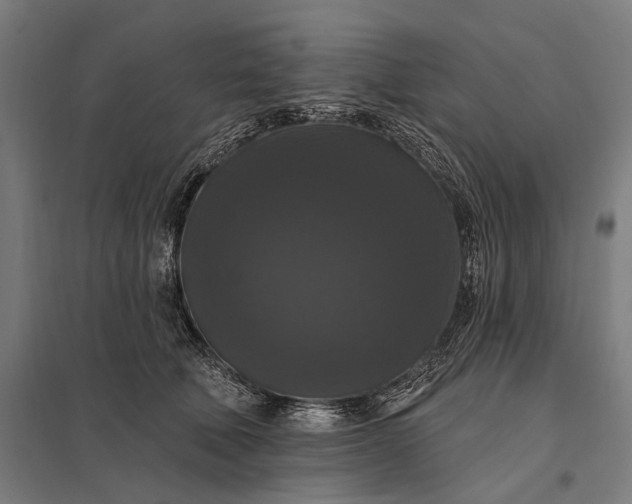 X0000097910610200803281404