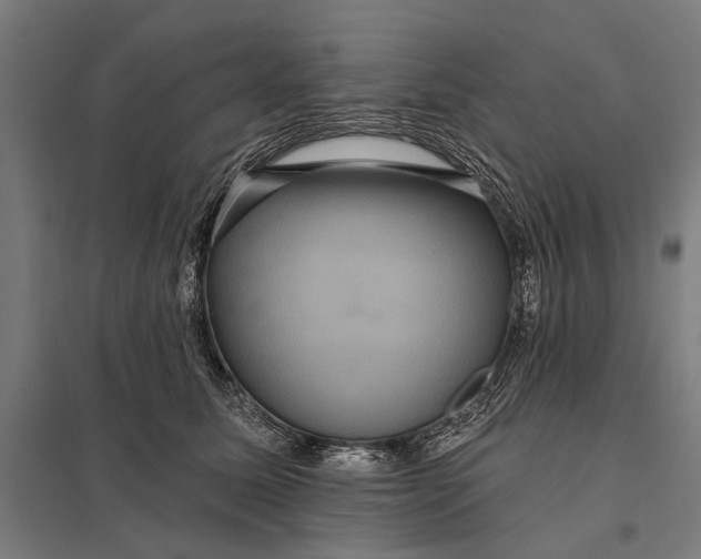 X0000097910611200803281404