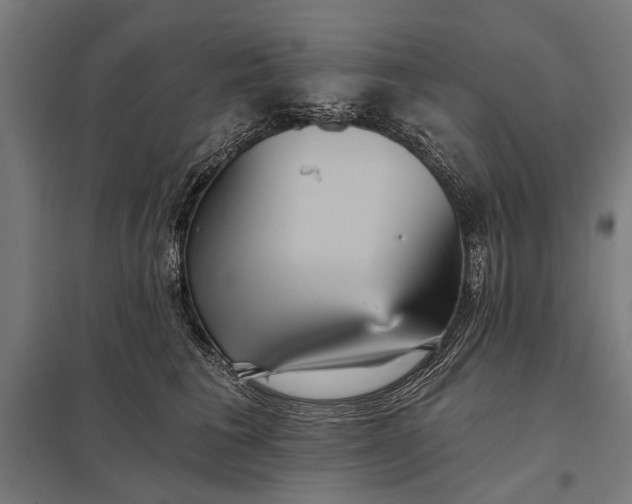 X0000097910613200803281404