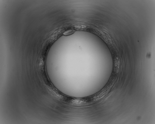 X0000097910614200803281404