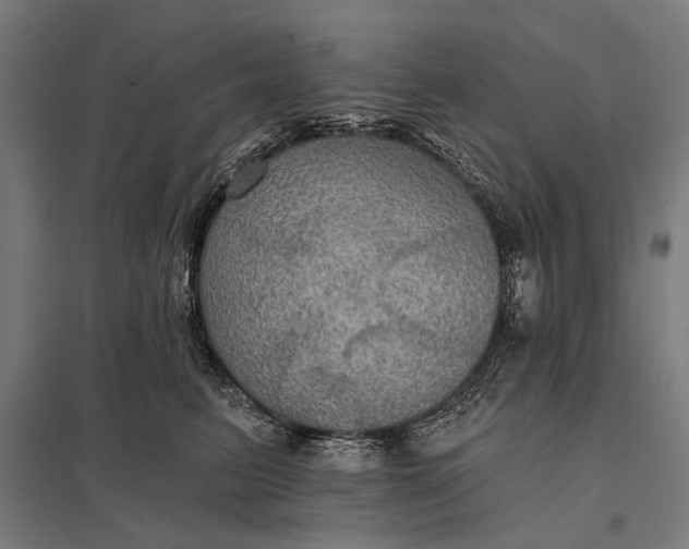 X0000097910615200803281404