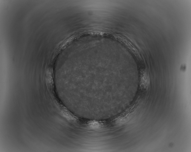 X0000097910616200803281404