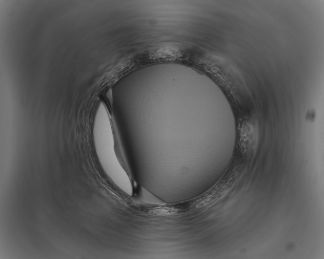 X0000097910617200803281404