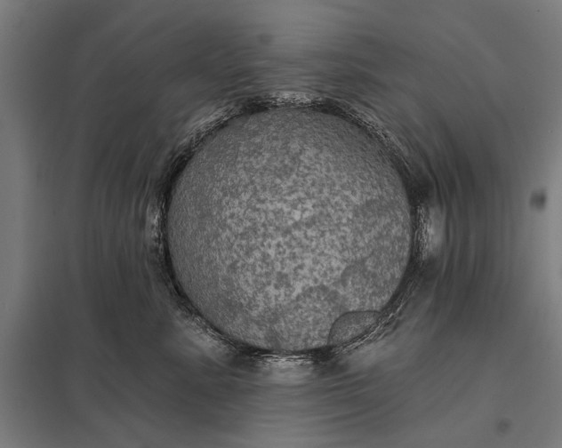 X0000097910619200803281404