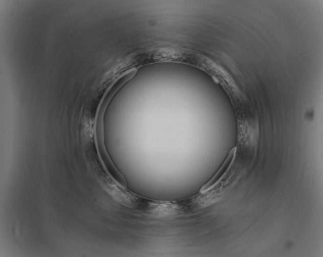 X0000097910621200803281404