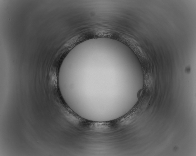 X0000097910622200803281404