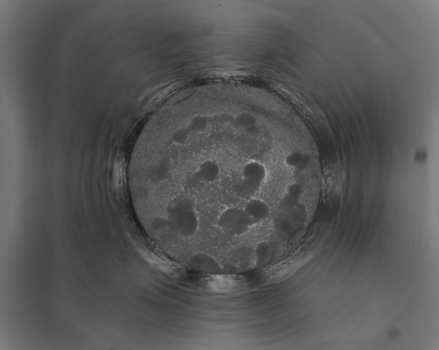 X0000097910623200803281404