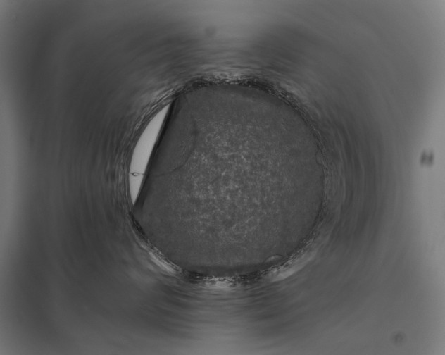 X0000097910624200803281404