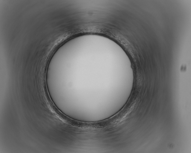 X0000097910625200803281403