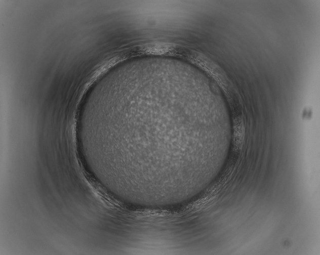 X0000097910626200803281403