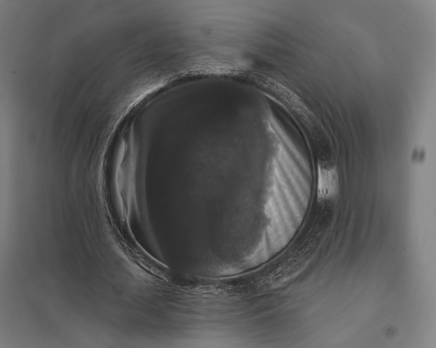 X0000097910627200803281403