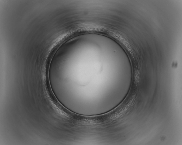 X0000097910629200803281403