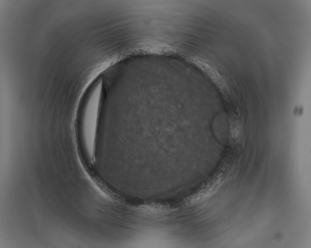 X0000097910630200803281403