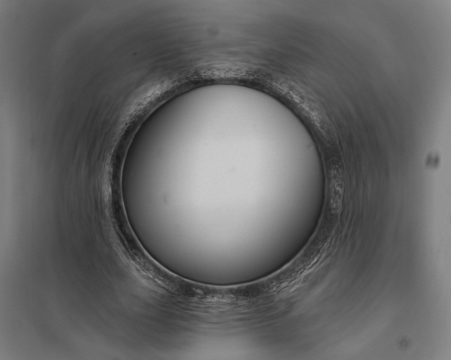 X0000097910631200803281403