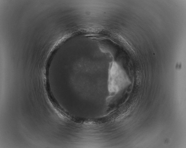 X0000097910634200803281403