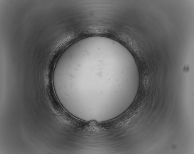 X0000097910635200803281403