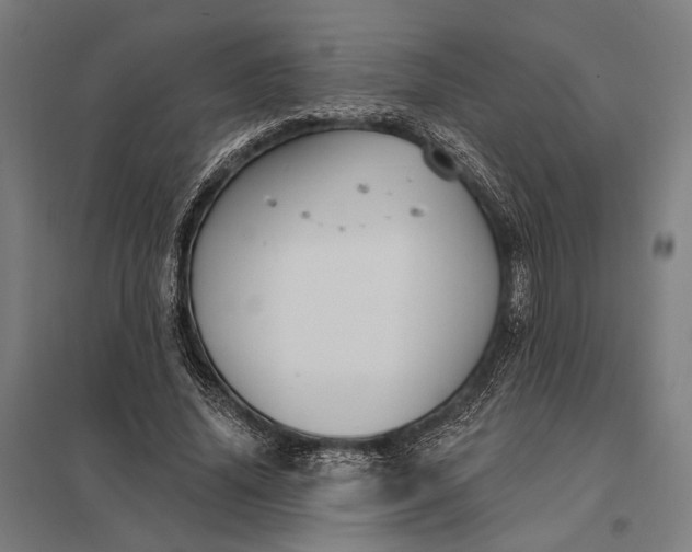 X0000097910636200803281403