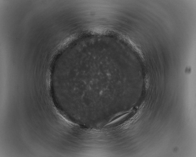 X0000097910637200803281403