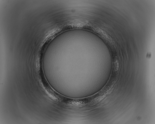 X0000097910638200803281403