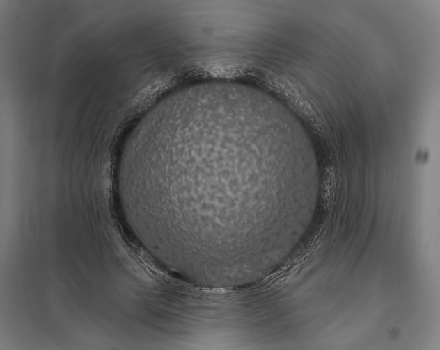 X0000097910639200803281403