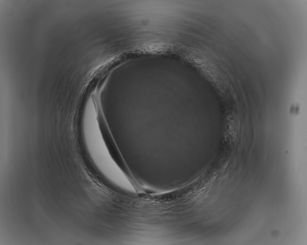 X0000097910640200803281403