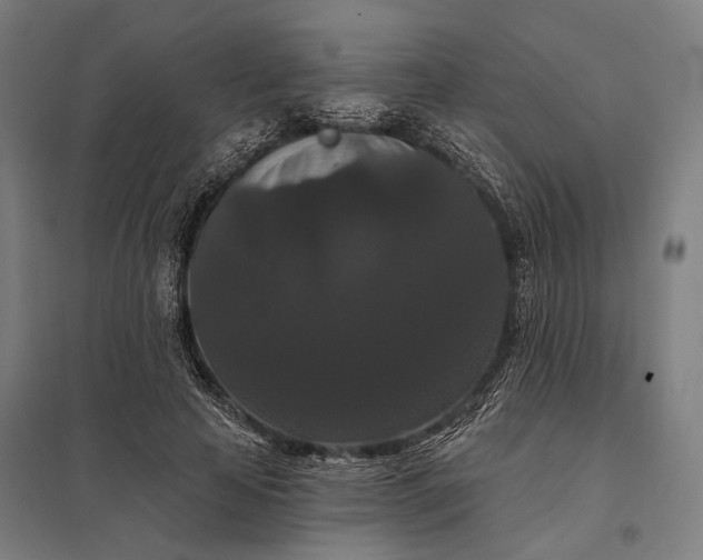 X0000097910641200803281403