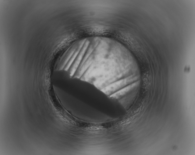 X0000097910642200803281403