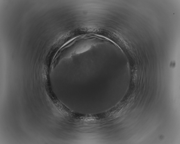 X0000097910643200803281403